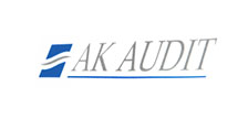 350_ak-audit.jpg